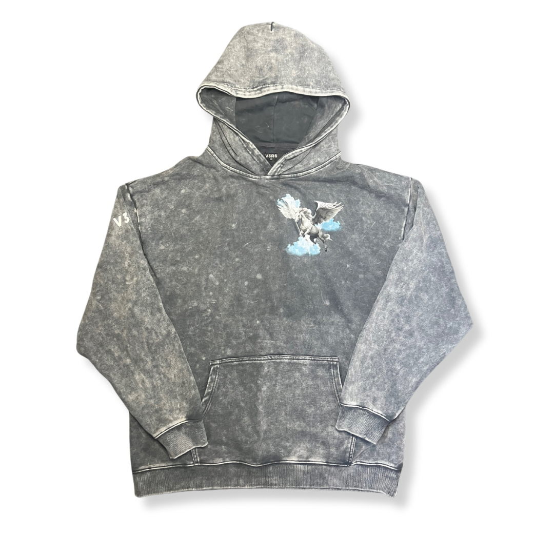 Pegasus Hoodie - V3RS