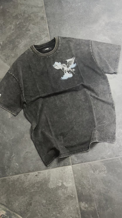 Pegasus T-Shirt - Washed Black