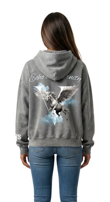 Pegasus Hoodie - Washed Grey