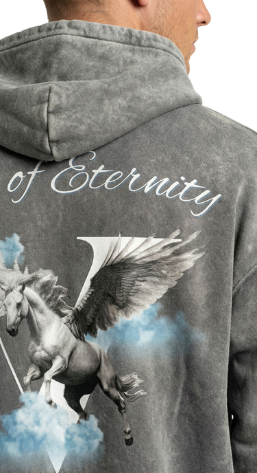 Pegasus Hoodie - Washed Grey