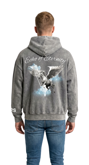 Pegasus Hoodie - Washed Grey