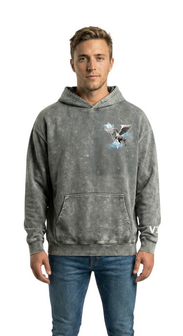 Pegasus Hoodie - Washed Grey